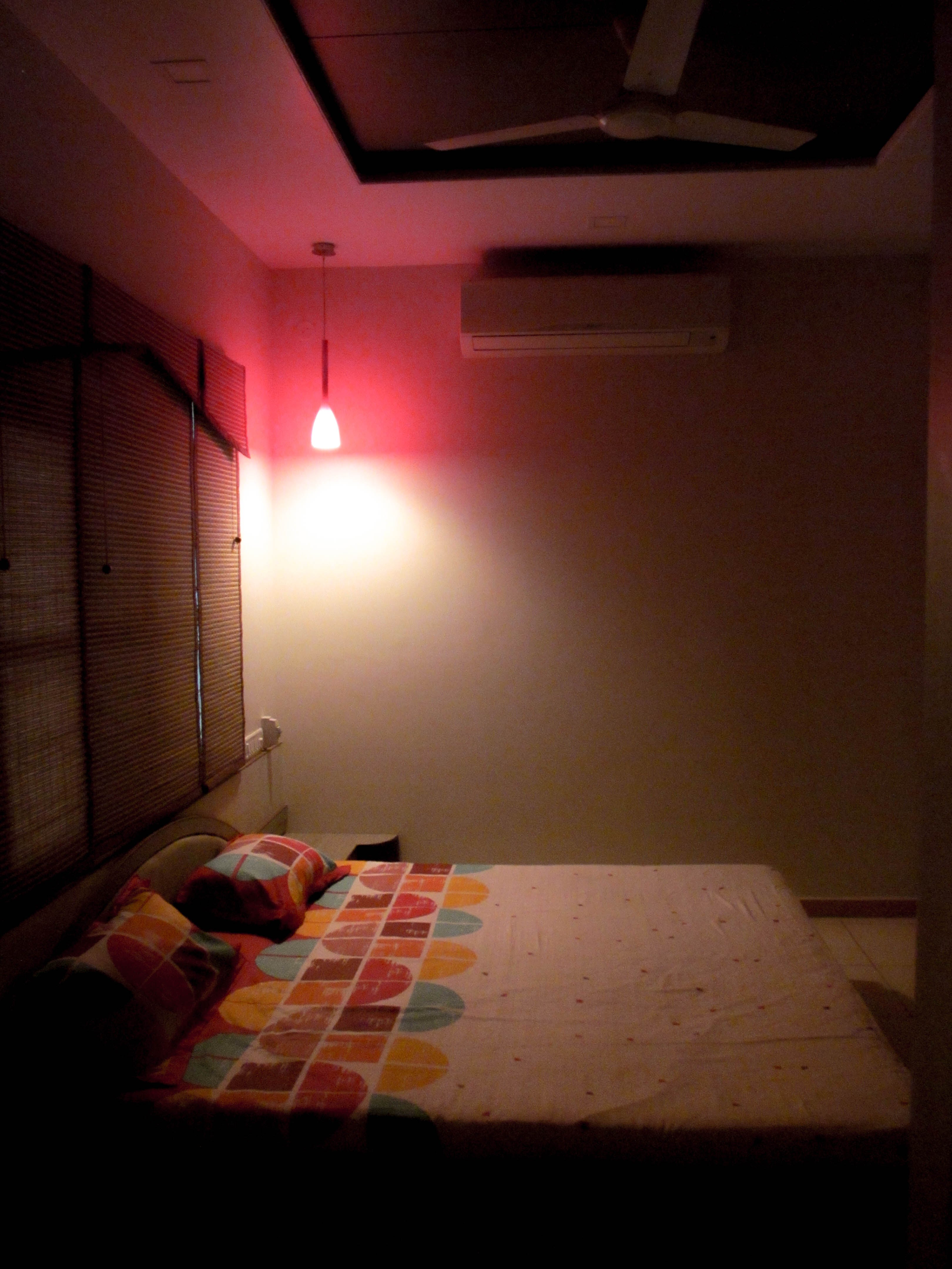 Serene Family Sanctuary - Photo 10